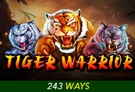 Spadegaming : Tiger Warrior - STONEBET88