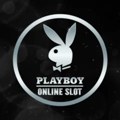 Playboy - STONEBET88